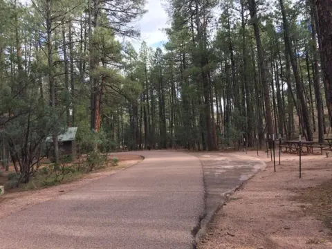 Ponderosa Campground .