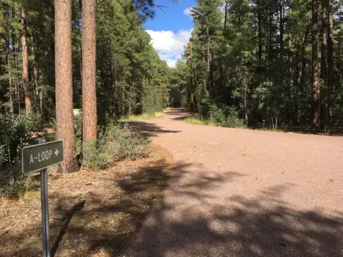 Tonto National Forest recreation area