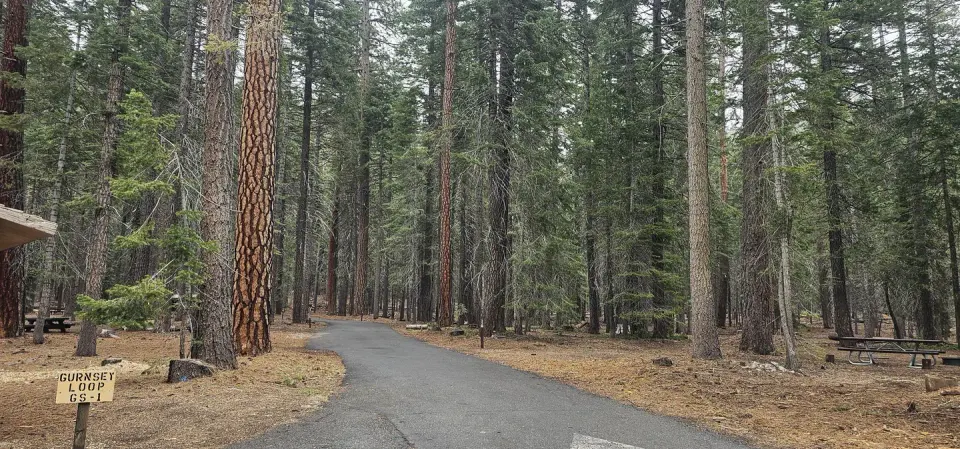Lassen National Forest recreation area