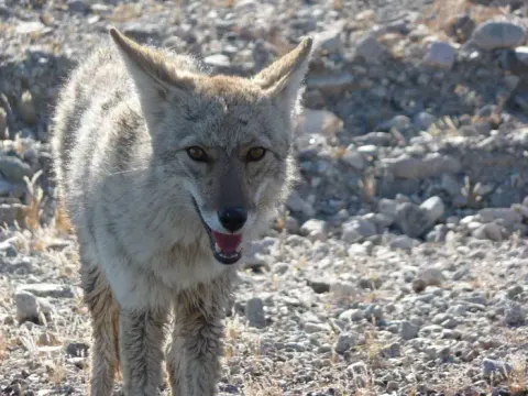 Death Valley National Park recreation area