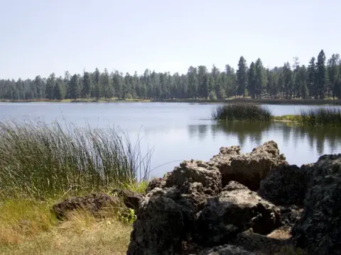 Kaibab National Forest recreation area