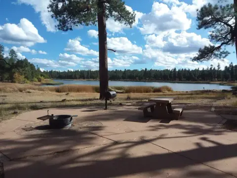Kaibab National Forest recreation area
