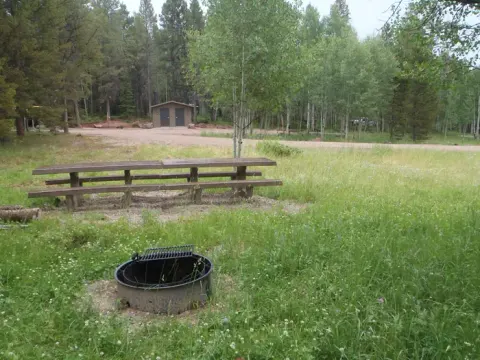 Ashley National Forest recreation area
