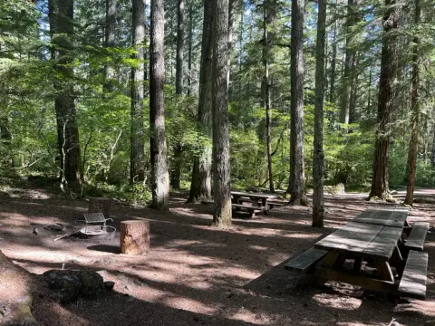 Willamette National Forest recreation area