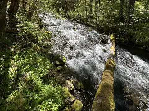 Willamette National Forest recreation area