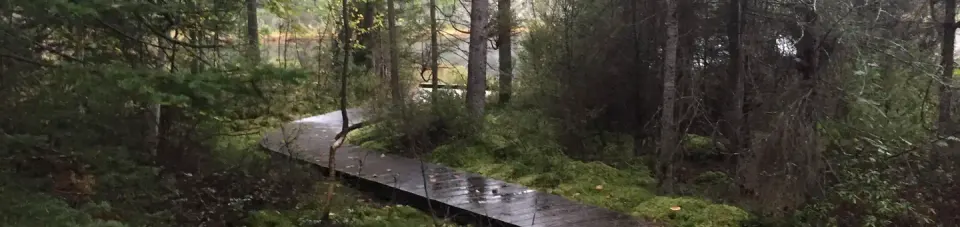 Twin Lakes Campground Boardwalk