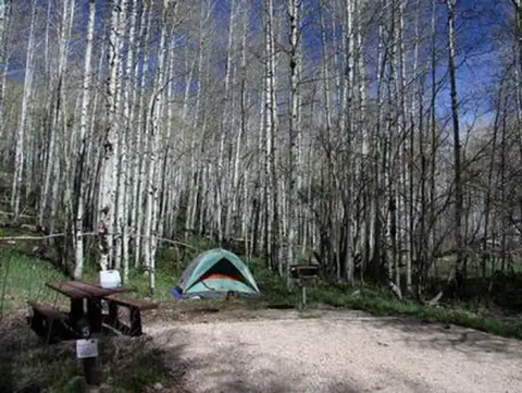 Site 5
