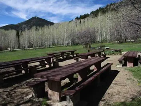 N Group Site