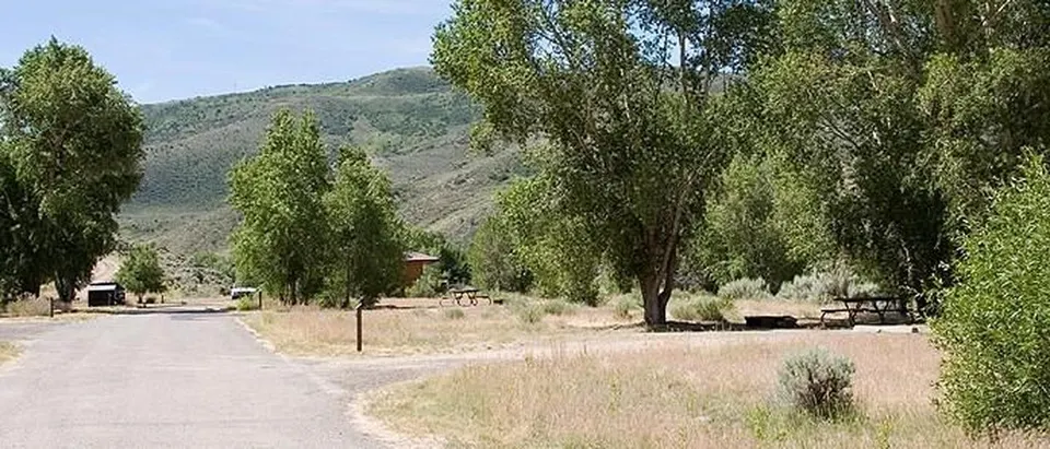 Campground Road, Trees, Signs, Mountains, Blue Sky