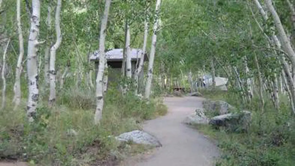 A path winds between trees to a restroom facility