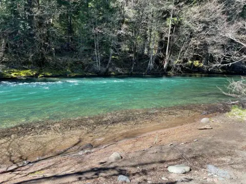 A sandy beach leads into a small and slow-moving river. The water is very clean and small trees overhang the opposite bank.