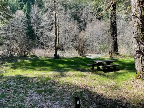 A grassy campsite on the bank of a river. The site has a wooden picnic table and a metal fire ring.