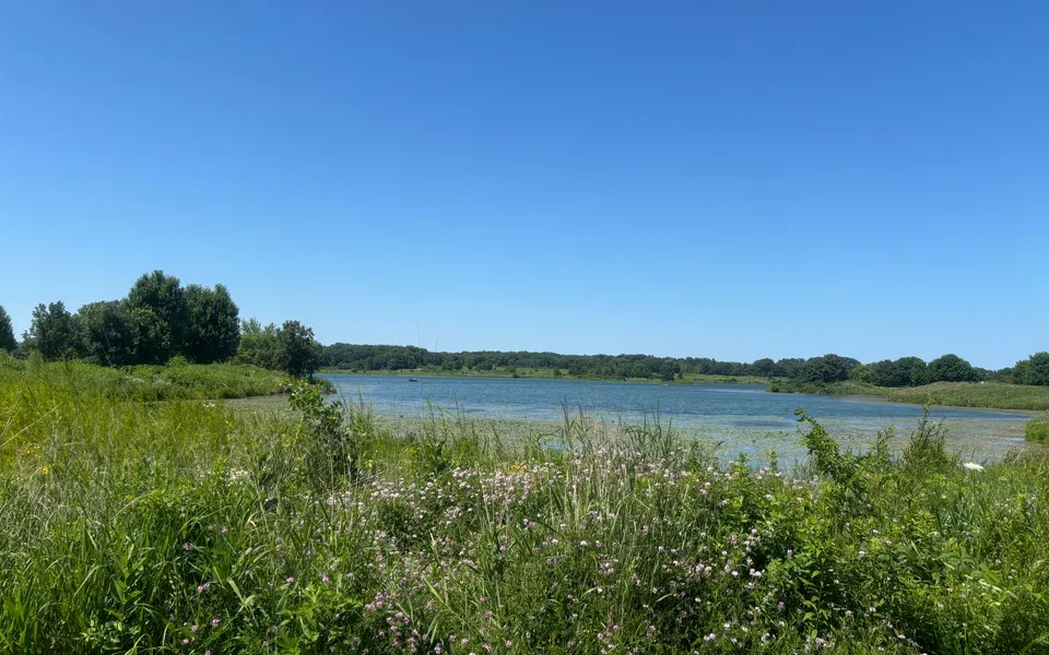 Representative Illinois outdoor destination image from Pexels