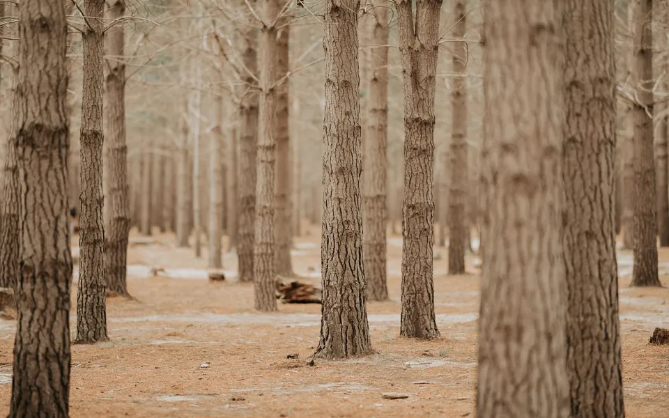 Representative New Jersey outdoor destination image from Pexels